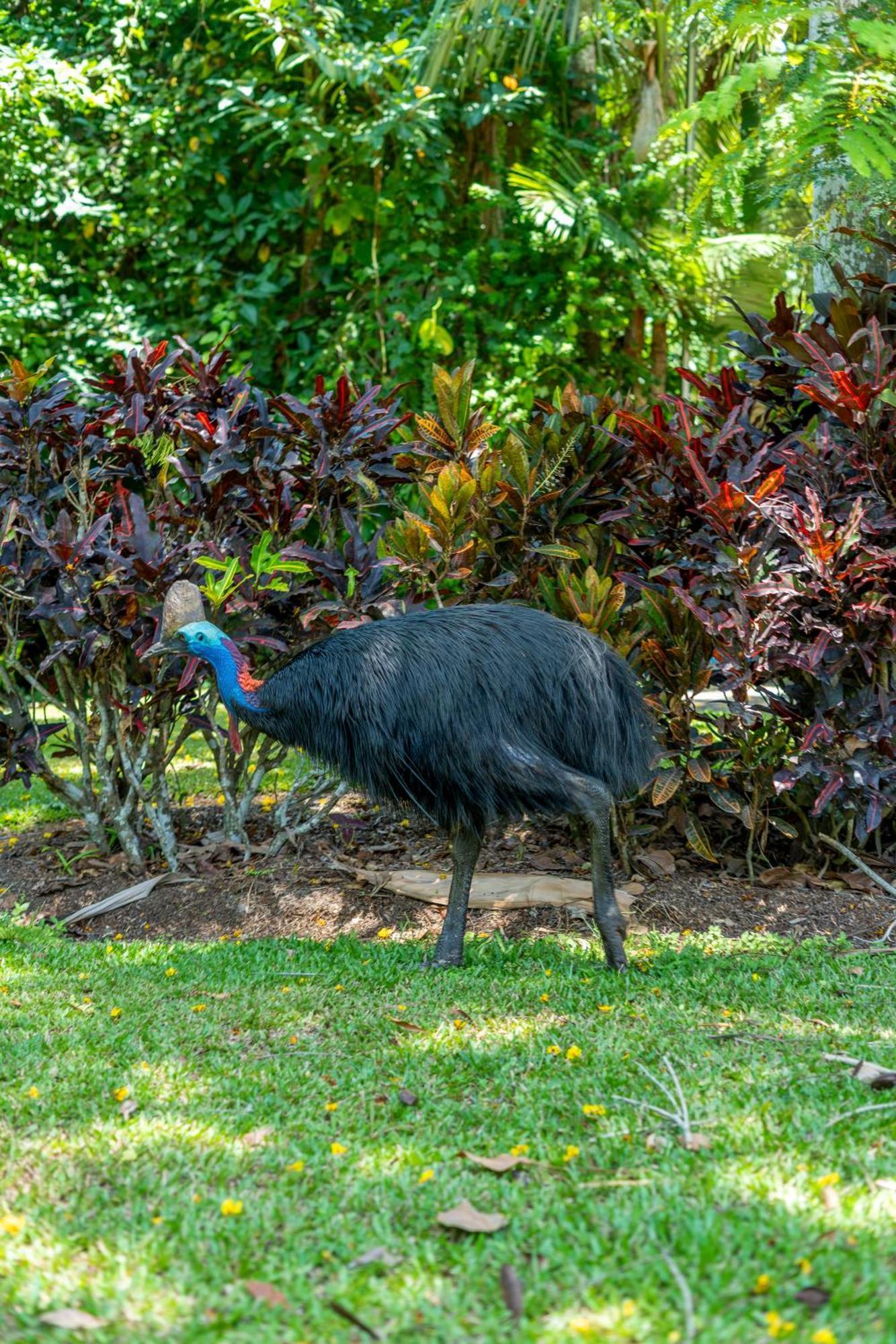 Big4 Tasman Holiday Parks - South Mission Beach Bagian luar foto