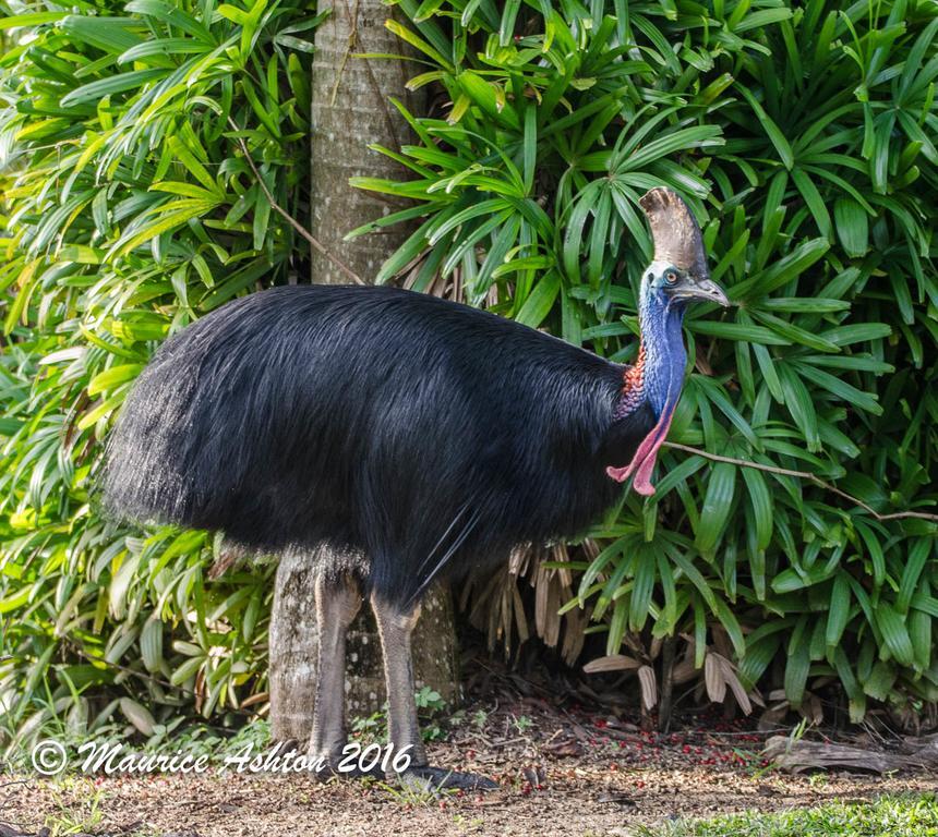 Big4 Tasman Holiday Parks - South Mission Beach Bagian luar foto